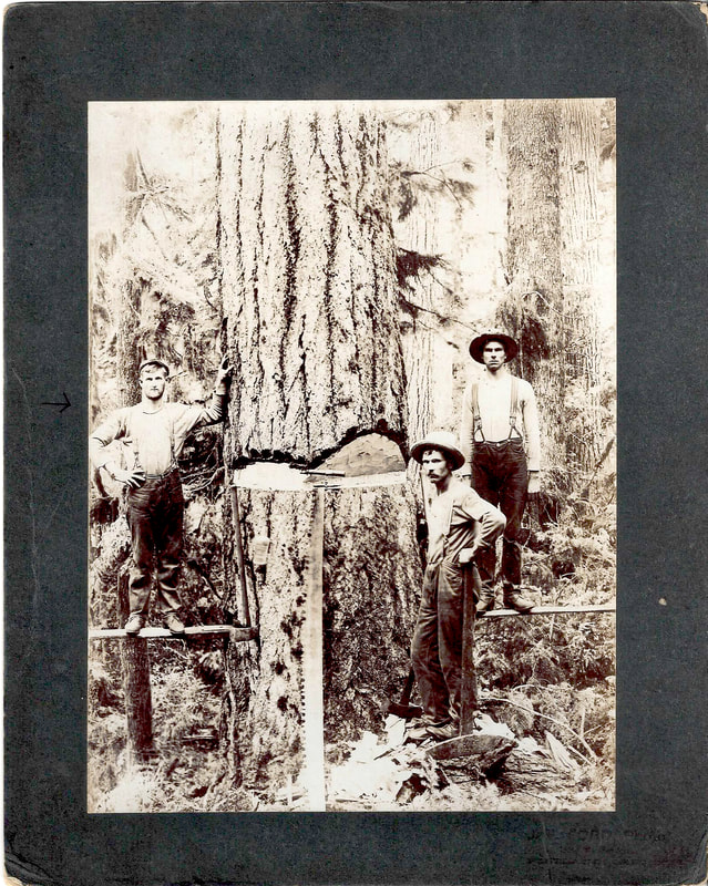 Photograph of Adam Hergert, Jr. (far left) and two other men logging in 1901. Courtesy of Dick Hergert.