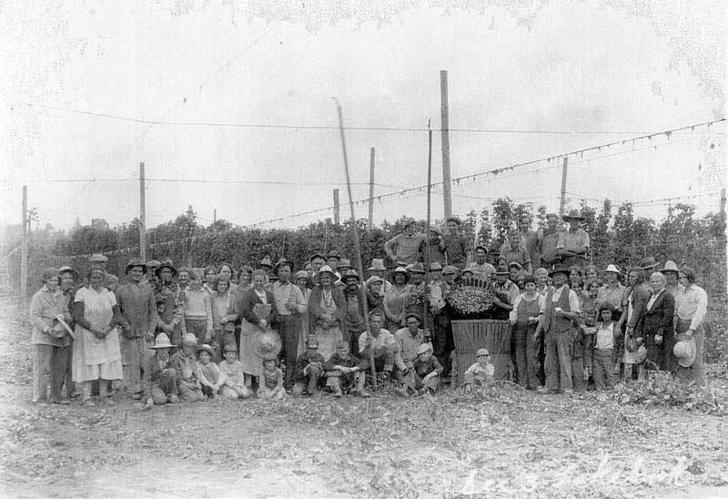 Block family working in the hop fields in the 1920s. Courtesy of Kimberlee Henkel-Moody.