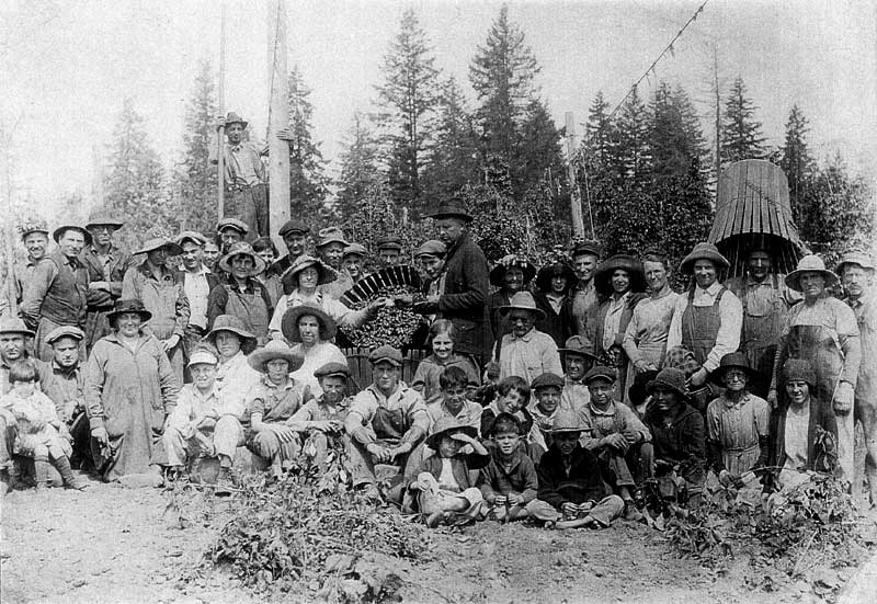 Block family working in the hop fields in the 1920s. Courtesy of Kimberlee Henkel-Moody.